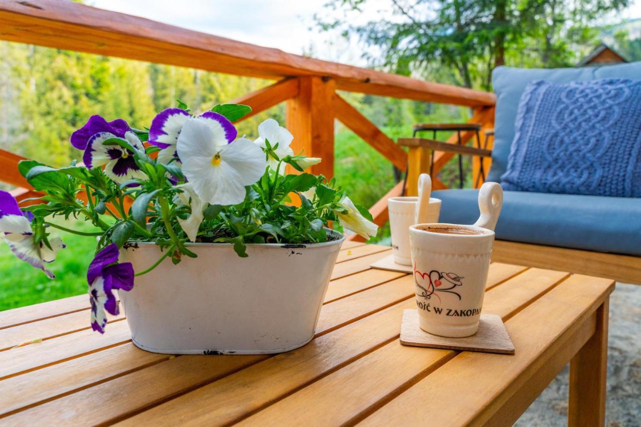 Apartament Lesny Zakopane Exterior photo